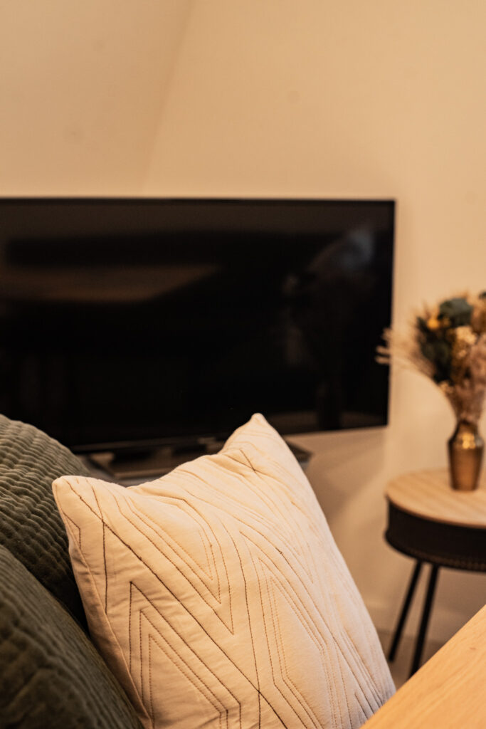 Flachbild-TV Ferienwohnung